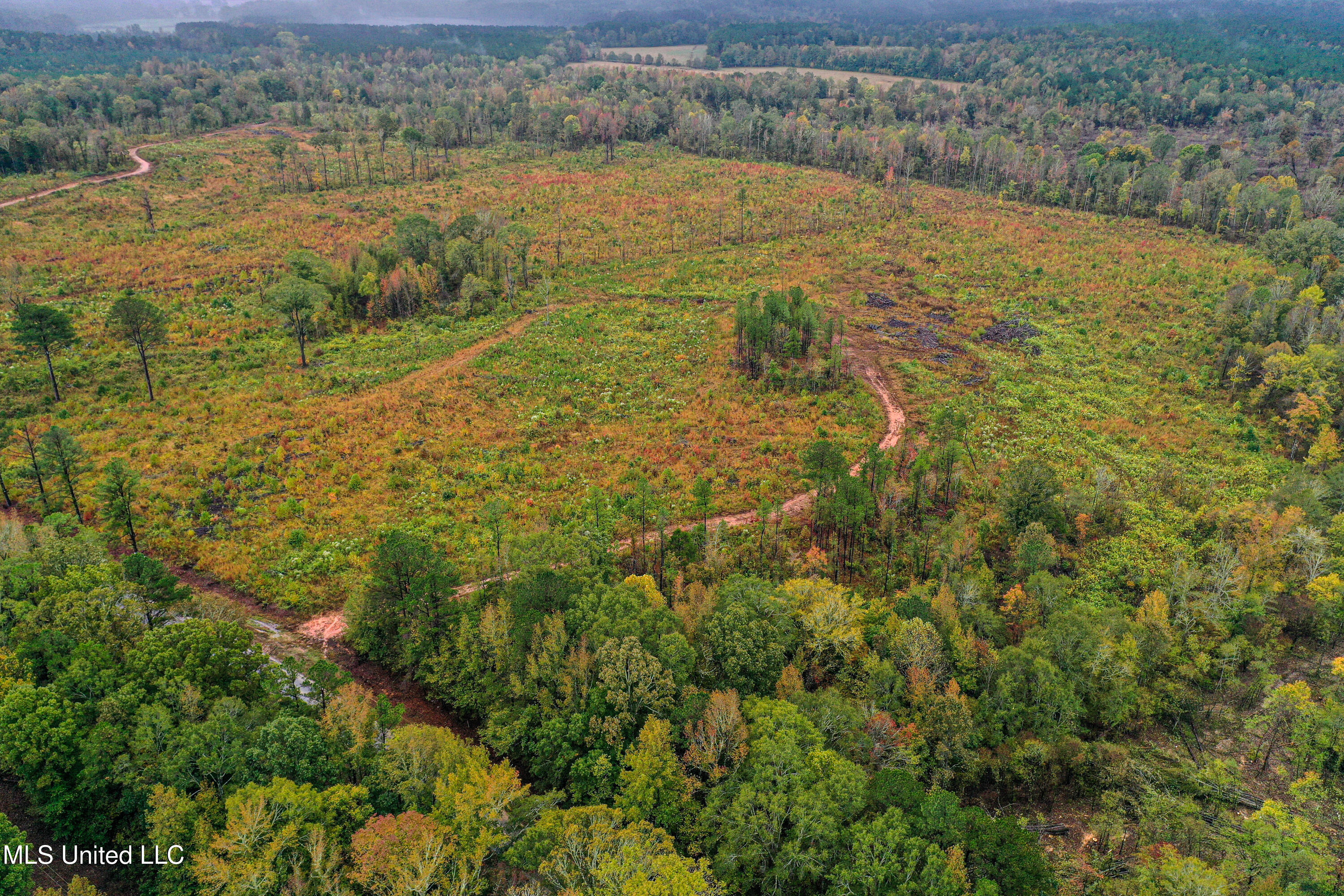 1 Alva Road Eupora, MS 39744 - Photo 3 of 16 DJI_0503