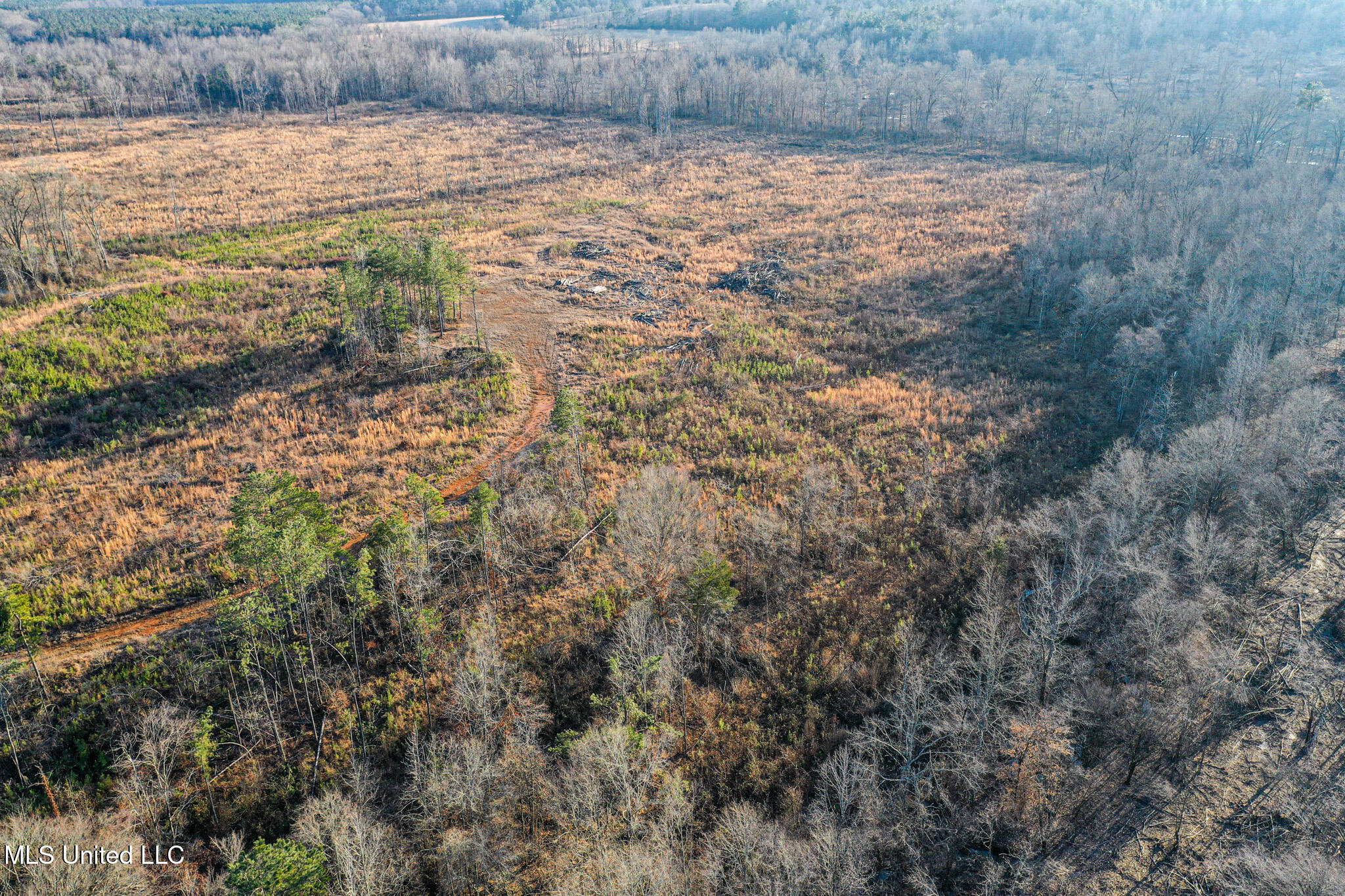 1 Alva Road Eupora, MS 39744 - Photo 4 of 17 DJI_0588