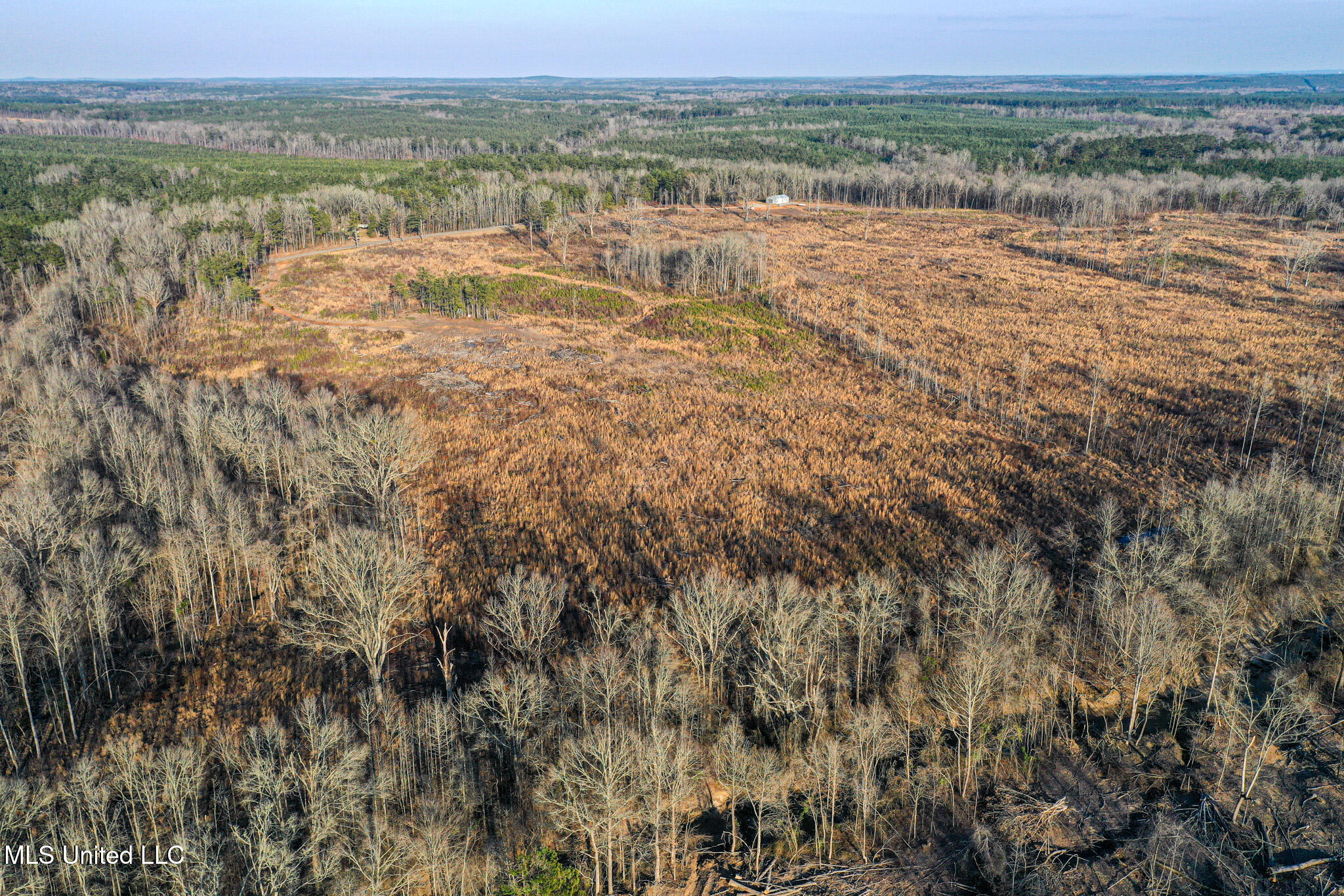 1 Alva Road Eupora, MS 39744 - Photo 6 of 17 DJI_0591