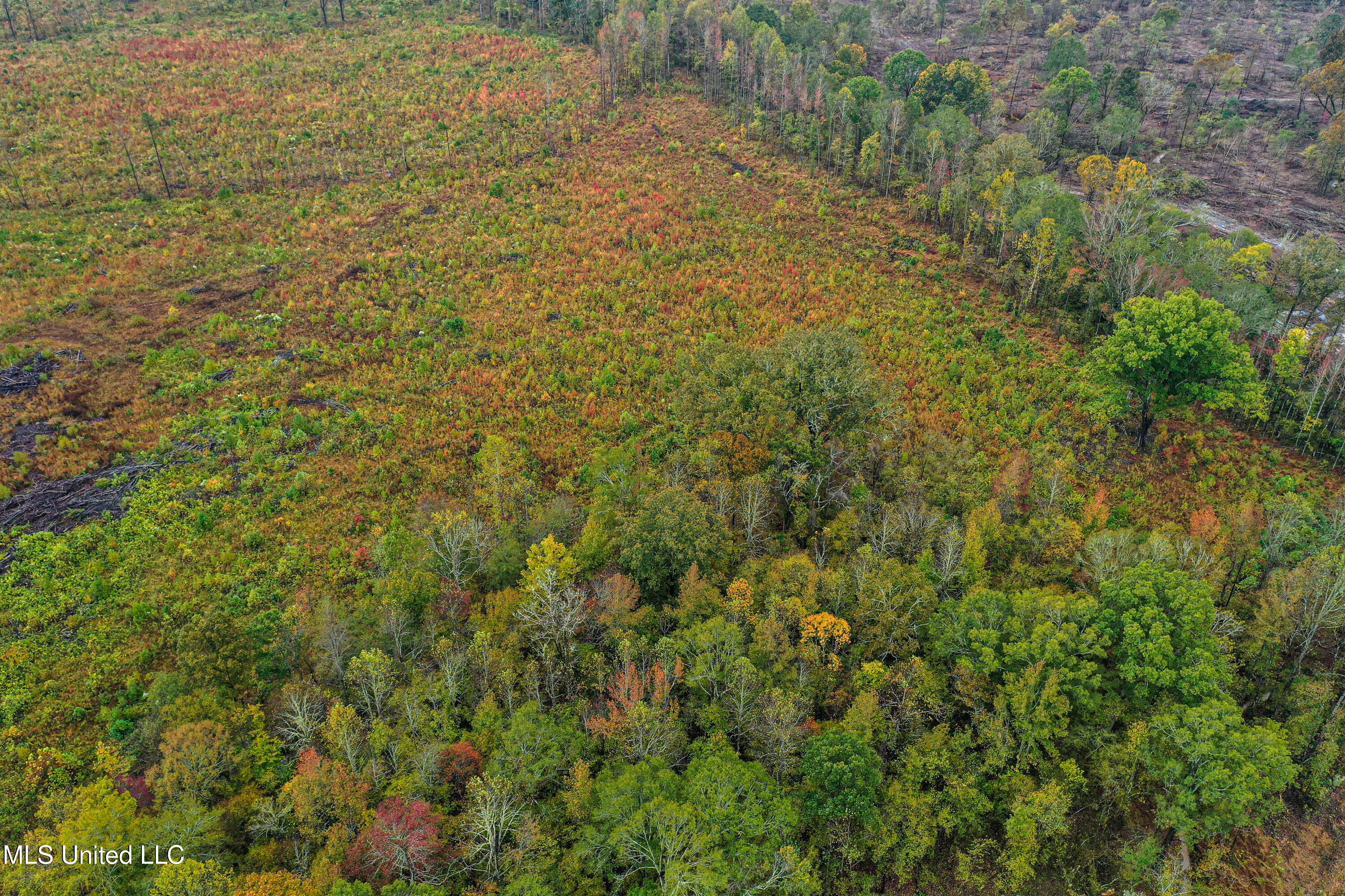 1 Alva Road Eupora, MS 39744 - Photo 9 of 16 DJI_0508