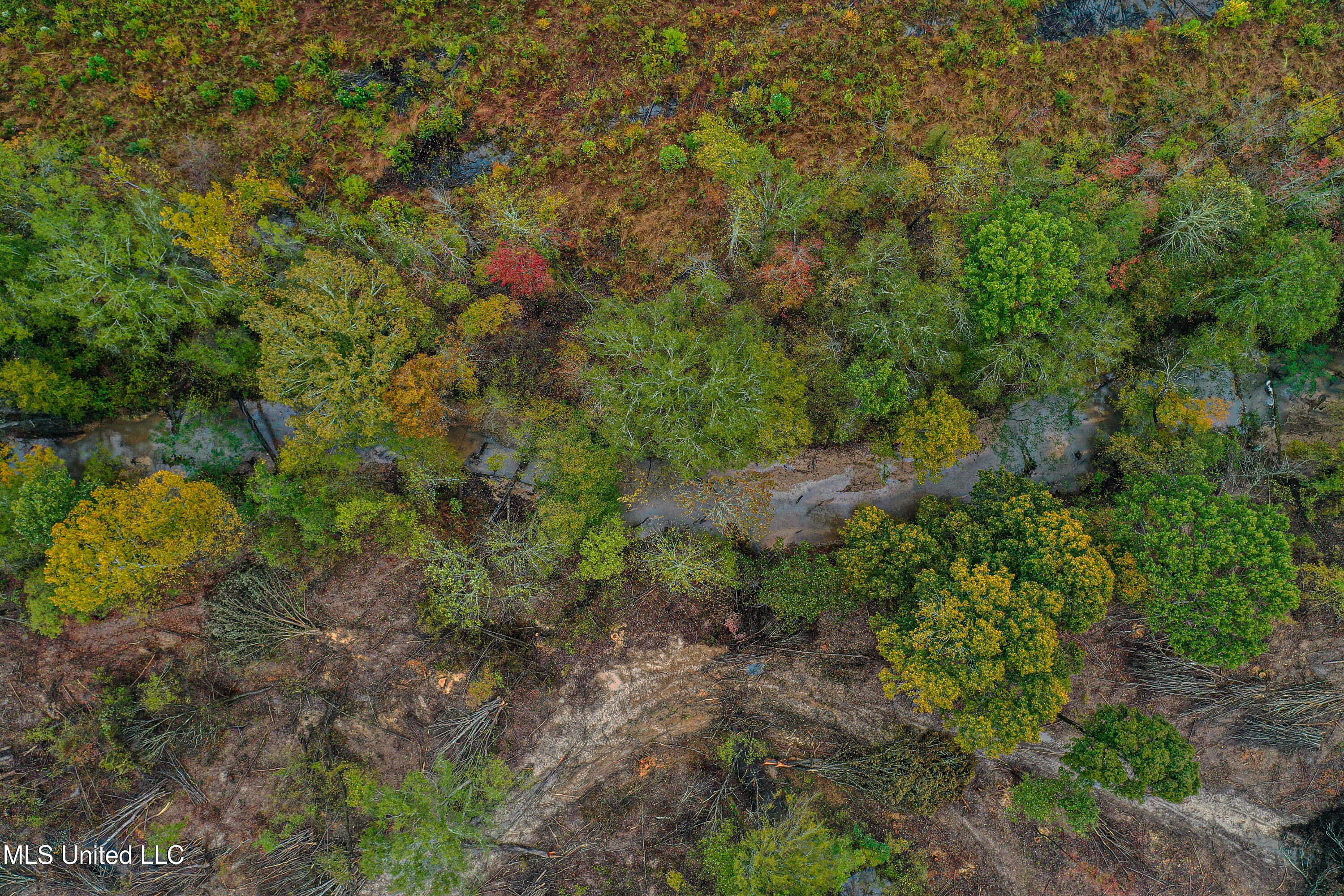 1 Alva Road Eupora, MS 39744 - Photo 9 of 17 DJI_0510