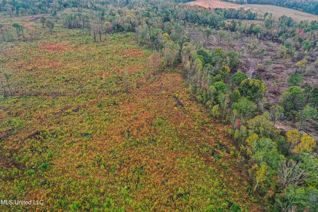 $99,680 | 1 Alva Road, Eupora, MS 39744