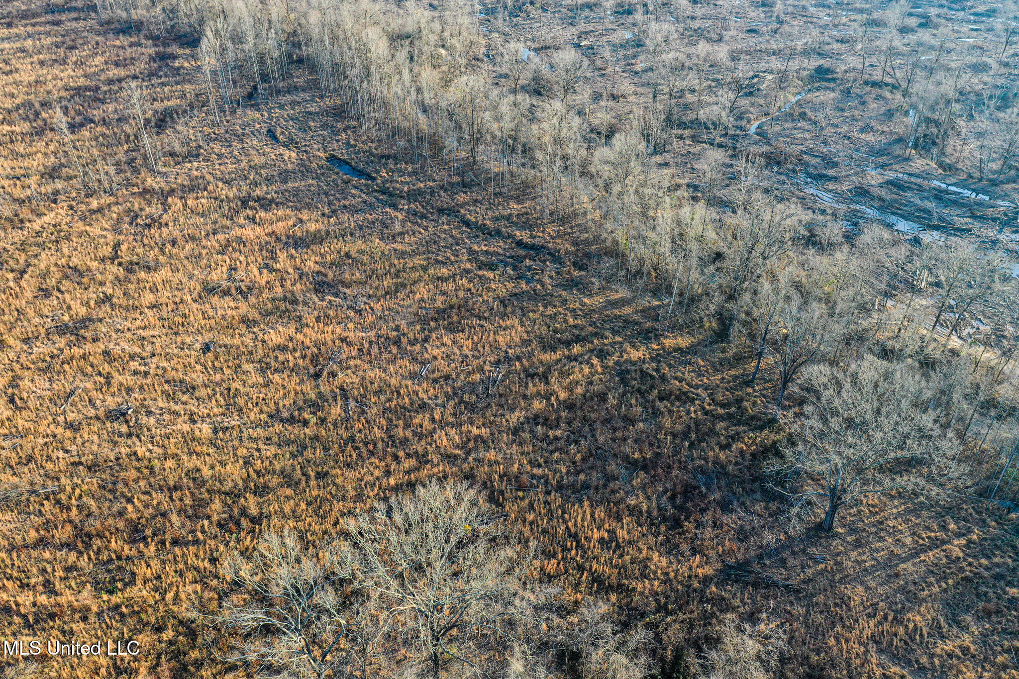 1 Alva Road Eupora, MS 39744 - Photo 10 of 17 DJI_0590