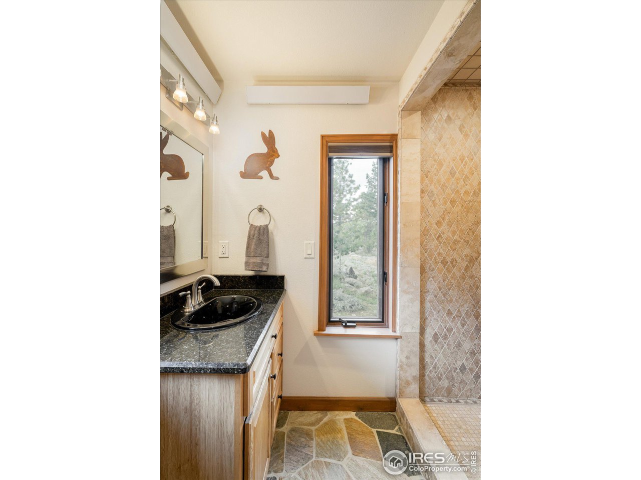 6067 Magnolia Road Nederland, CO 80466 - Photo 15 of 40 Gallery Image 15