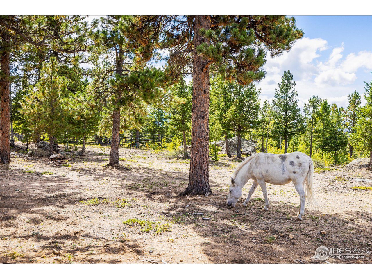 6067 Magnolia Road Nederland, CO 80466 - Photo 30 of 40 Gallery Image 30