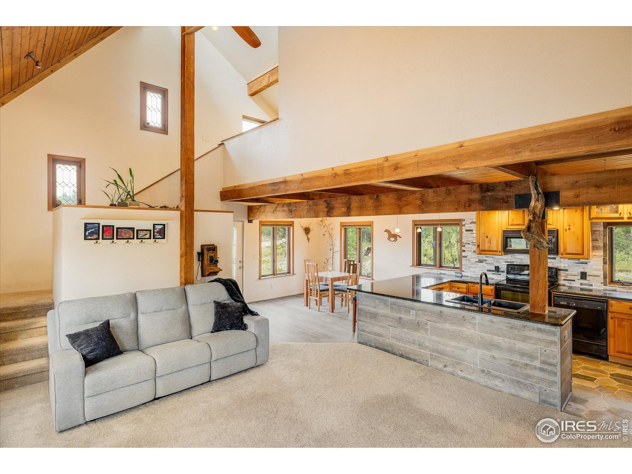 6067 Magnolia Road Nederland, CO 80466 - Photo 8 of 40 Gallery Image 8