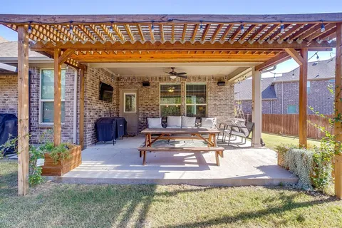 a view of a backyard with a tree