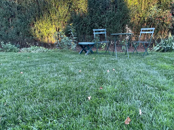 a view of a chair and table in the garden