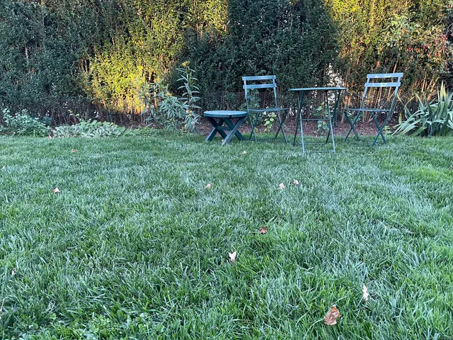 $4,500 | 126 East Avenue, New Canaan, CT 06840