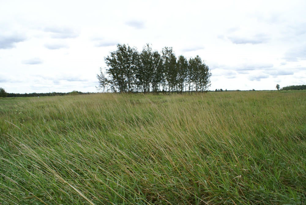 10 West 10 Mile Road Dafter, MI 49724 - Photo 10 of 23 Gallery Image 10