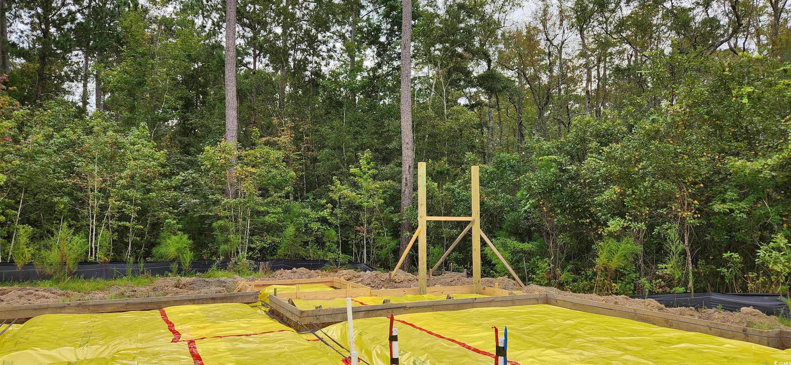 1407 Gooseneck Place, Unit 102 Murrells Inlet, SC 29576 - Photo 31 of 39 View of yard