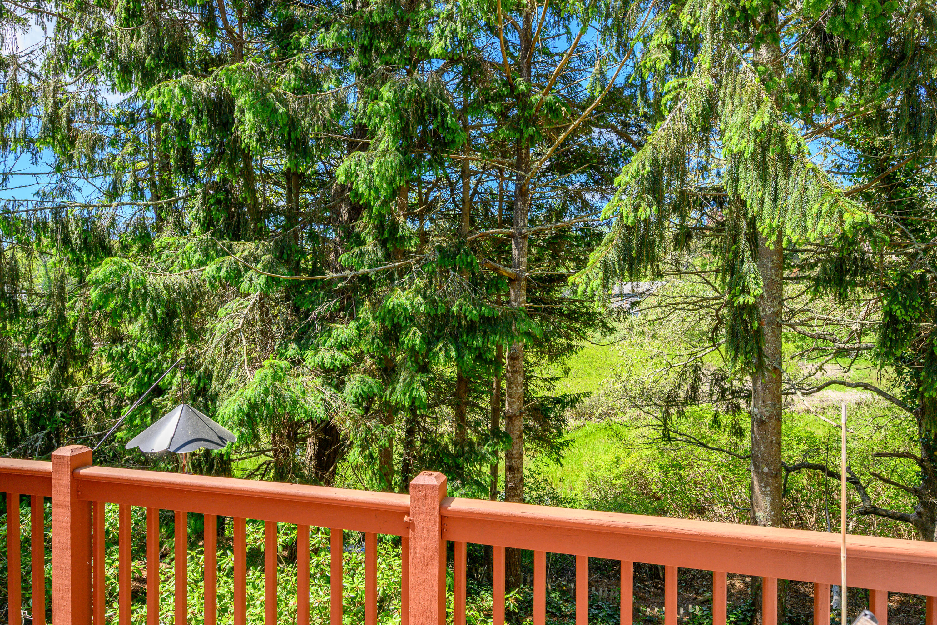 41 Idle Way Harwich, MA 02645 - Photo 64 of 74 65_dsc_2388