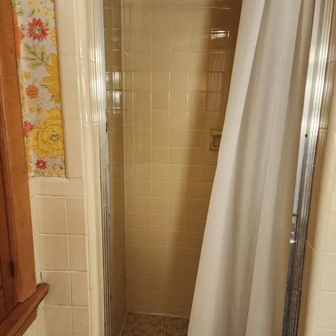 a bathroom with a sink and a shower