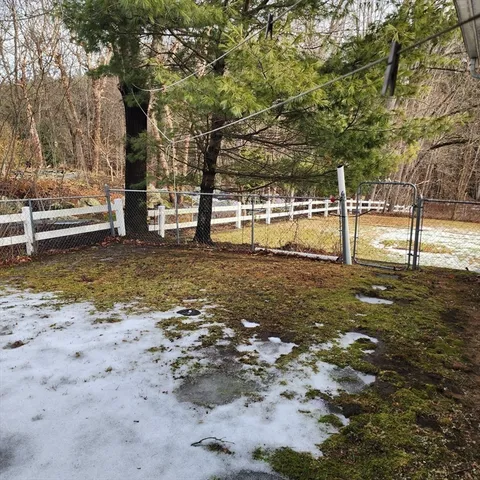 a view of a yard with trees