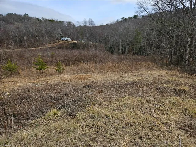 $300,000 | 0 Blue Hollow Road, Unit 33, Mount Airy, NC 27030