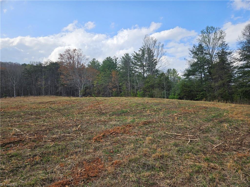 0 Blue Hollow Road, Unit 27 Mount Airy, NC 27030 - Photo 4 of 10