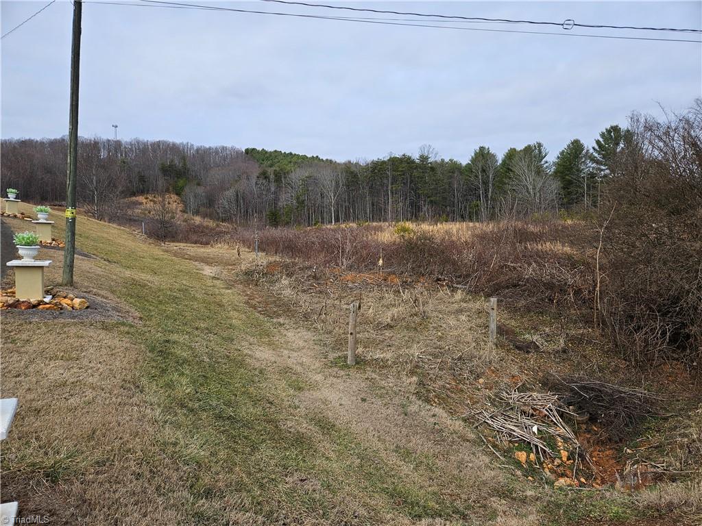 0 Blue Hollow Road, Unit 33 Mount Airy, NC 27030 - Photo 5 of 13