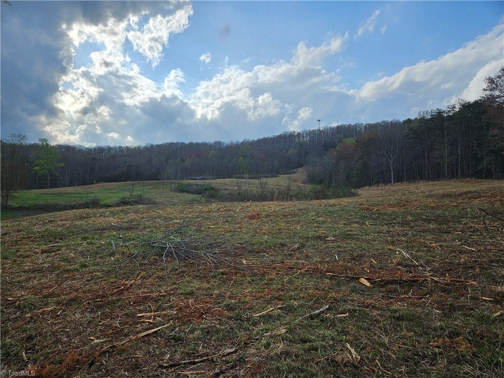 0 Blue Hollow Road, Unit 27 Mount Airy, NC 27030 - Photo 5 of 10