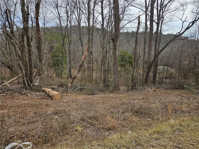 $300,000 | 0 Blue Hollow Road, Unit 33, Mount Airy, NC 27030