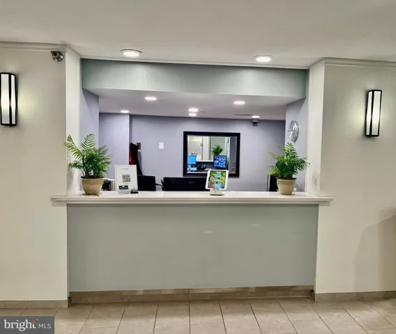 a view of kitchen with cabinets and potted plant