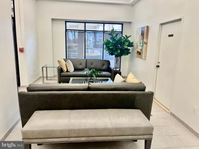 a living room with furniture and potted plant