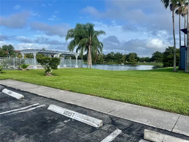 a view of a park with palm trees