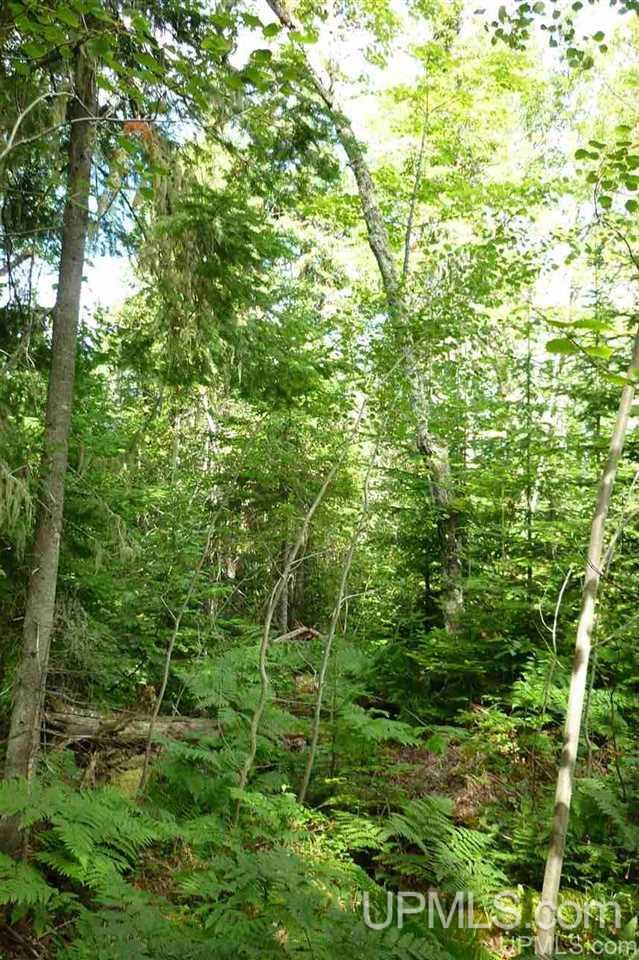 15-16 Horizon Road Copper Harbor, MI 49918 - Photo 4 of 9