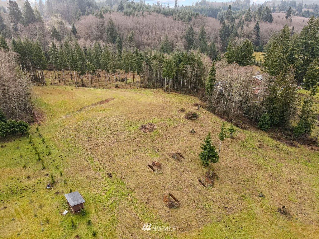 878 Oak Point Road Longview, WA 98632 - Photo 32 of 32 a view of a yard with a house