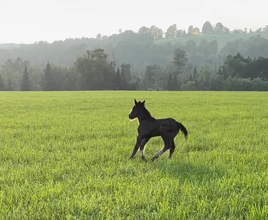 $495,000 | 254 Airport Road, Lyndon, VT 05851