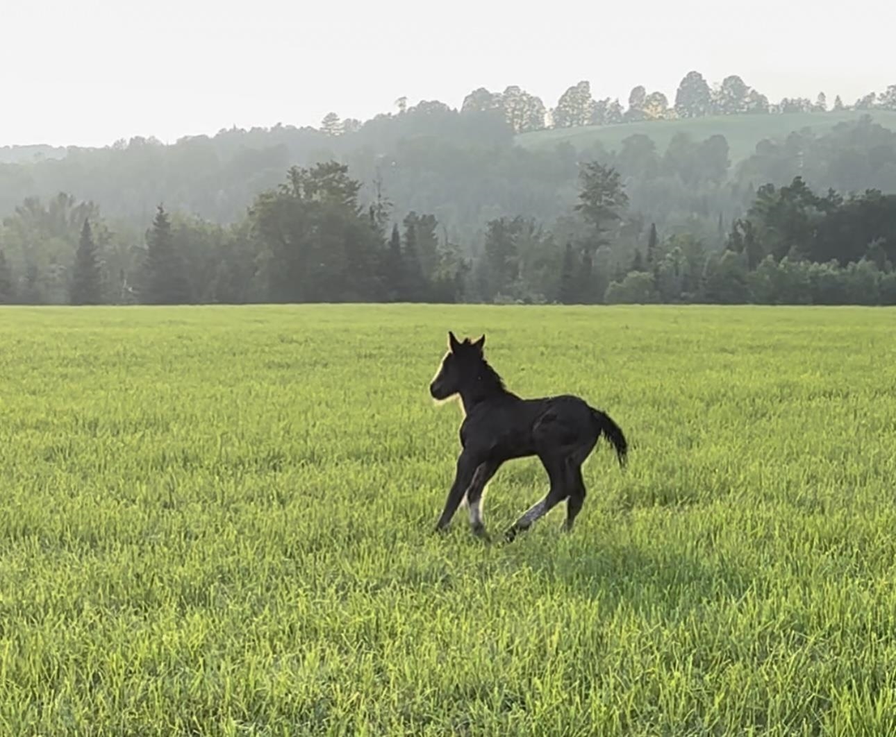 254 Airport Road Lyndon, VT 05851 - Photo 2 of 29