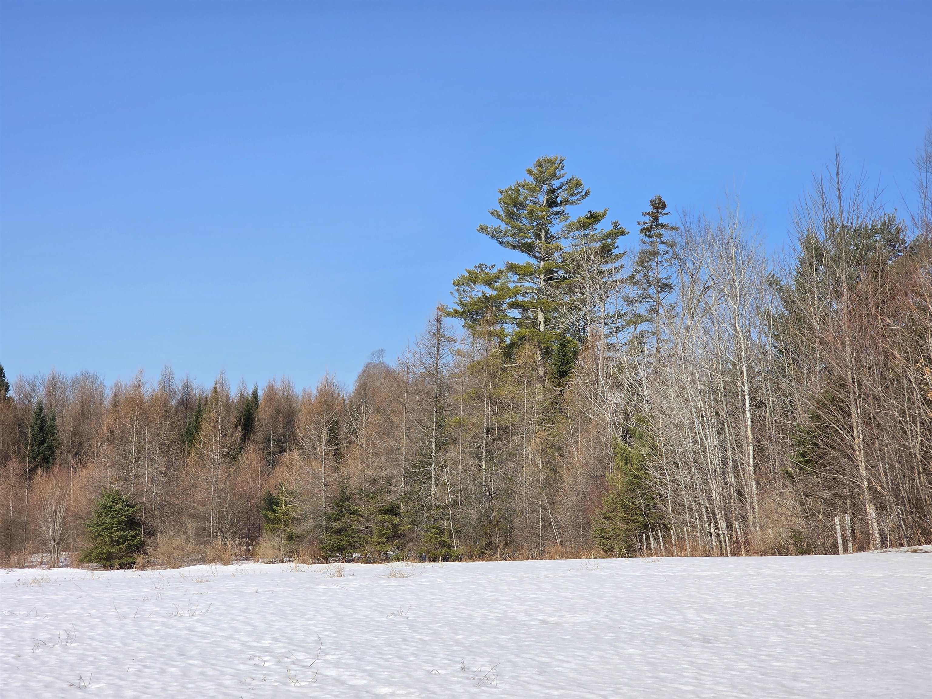254 Airport Road Lyndon, VT 05851 - Photo 7 of 29