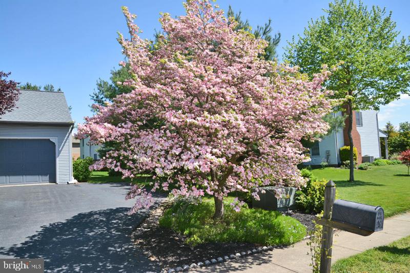 3125 Norcross Road Lancaster, PA 17603 - Photo 6 of 34 Gallery Image 6