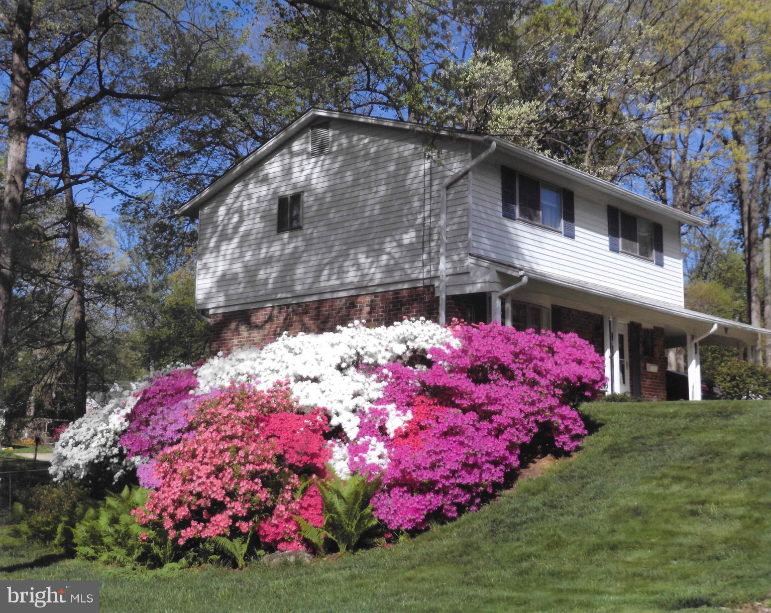 5508 Yorkshire Street Springfield, VA 22151 - Photo 30 of 30 Gallery Image 30