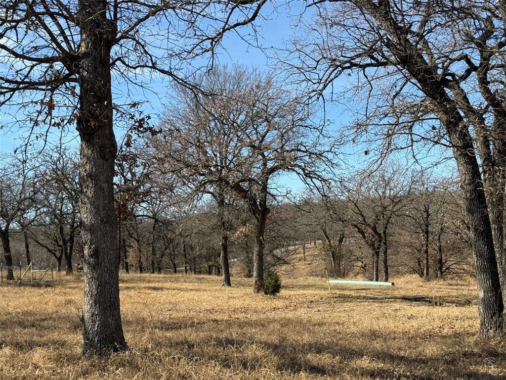 1072 3 Skillet Road Springtown, TX 76082 - Photo 1 of 12 a view of yard with trees