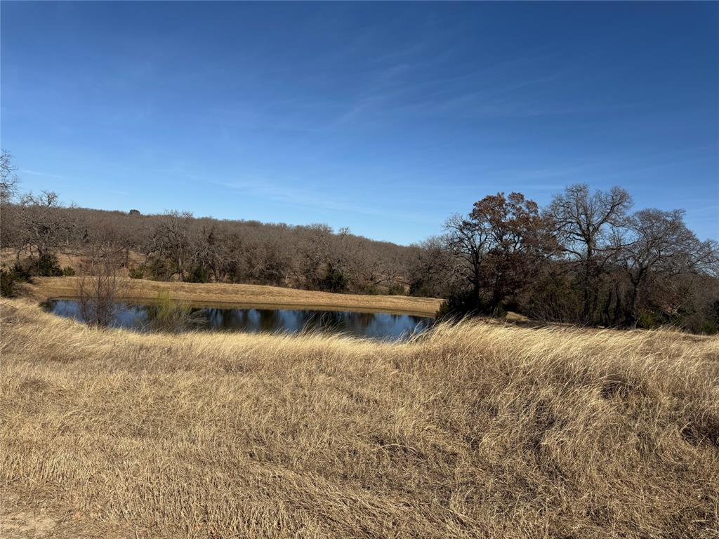 1072 3 Skillet Road Springtown, TX 76082 - Photo 12 of 12 a view of lake with green space