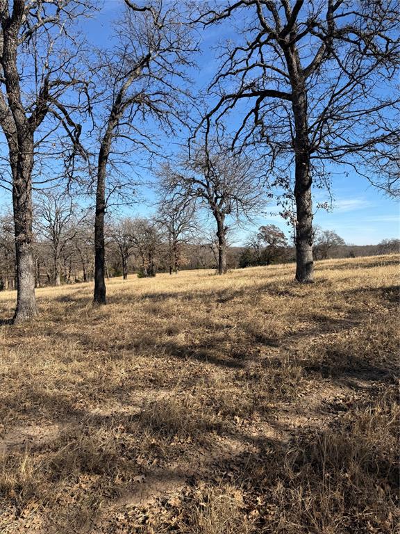 1072 3 Skillet Road Springtown, TX 76082 - Photo 2 of 12 a view of outdoor space with trees