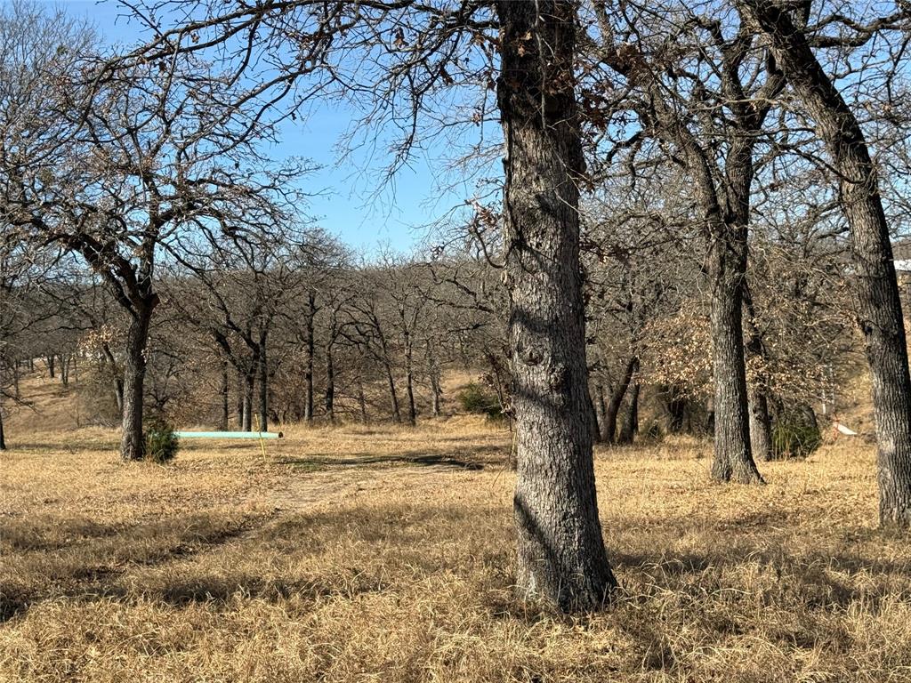 1072 3 Skillet Road Springtown, TX 76082 - Photo 10 of 12 a view of outdoor space with trees