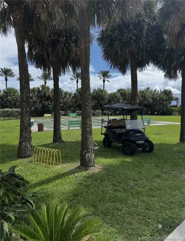 a view of a park with a tree