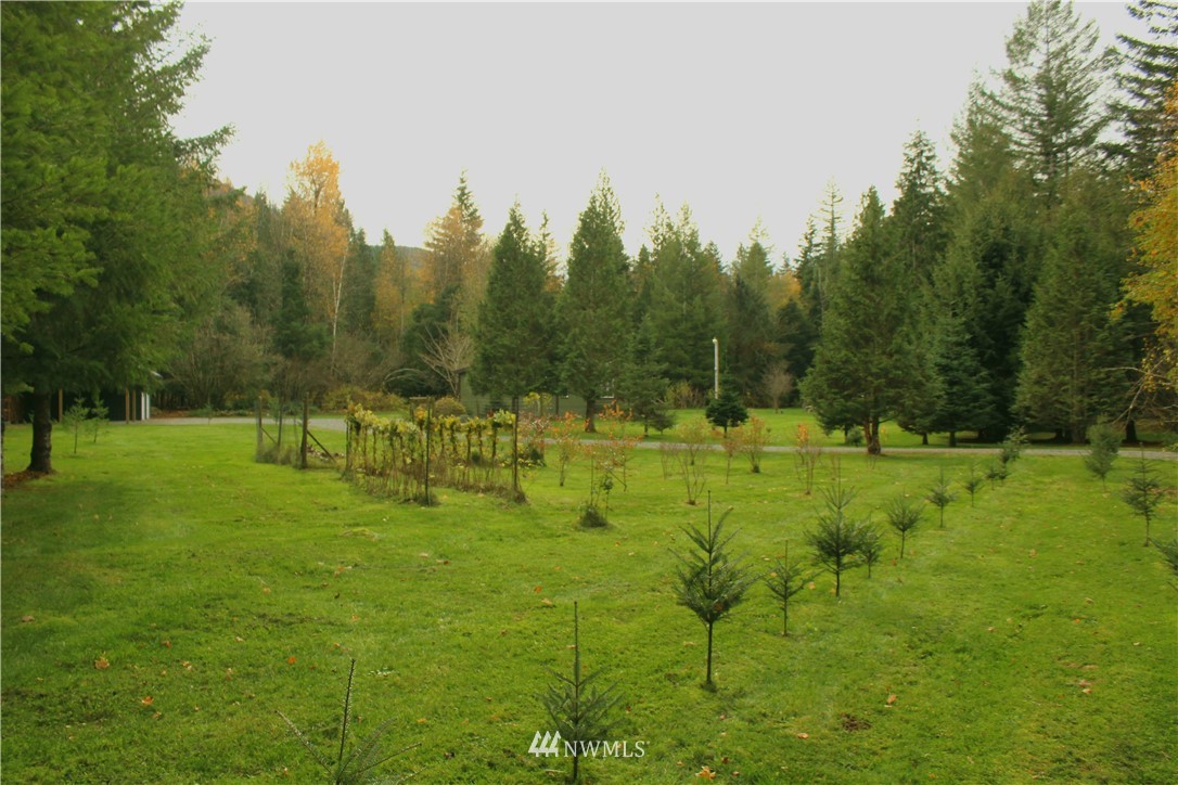 6851 South Pass Road Maple Falls, WA 98266 - Photo 12 of 34 a view of a park