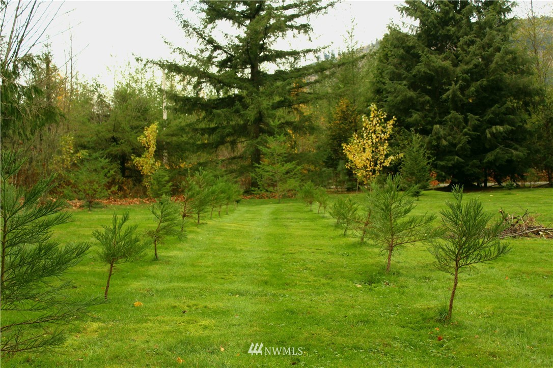 6851 South Pass Road Maple Falls, WA 98266 - Photo 13 of 34 a view of yard with green space