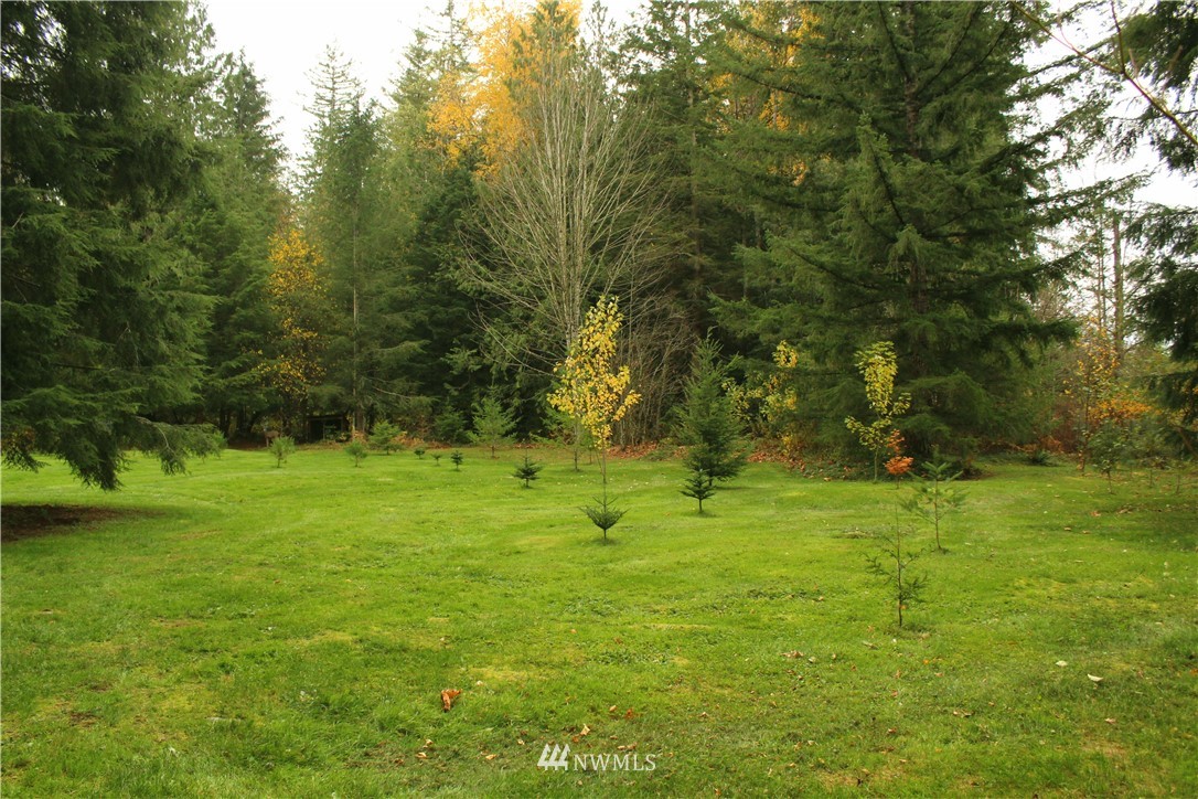 6851 South Pass Road Maple Falls, WA 98266 - Photo 14 of 34 a yard with trees in the background