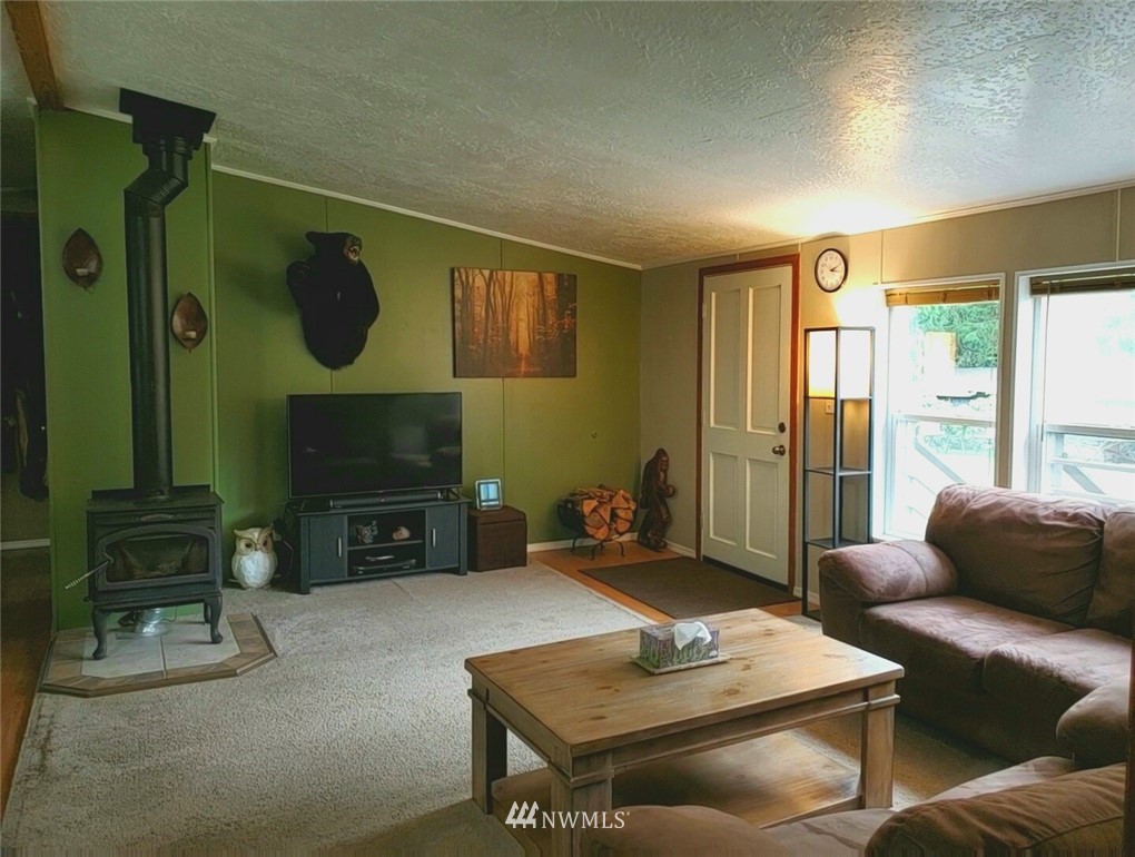 6851 South Pass Road Maple Falls, WA 98266 - Photo 18 of 34 a living room with furniture and a fireplace
