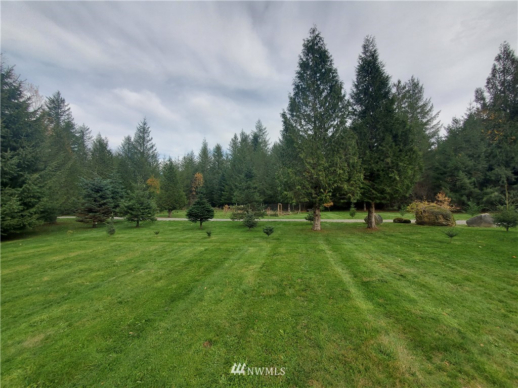 6851 South Pass Road Maple Falls, WA 98266 - Photo 34 of 34 a view of grassy field with trees in the background