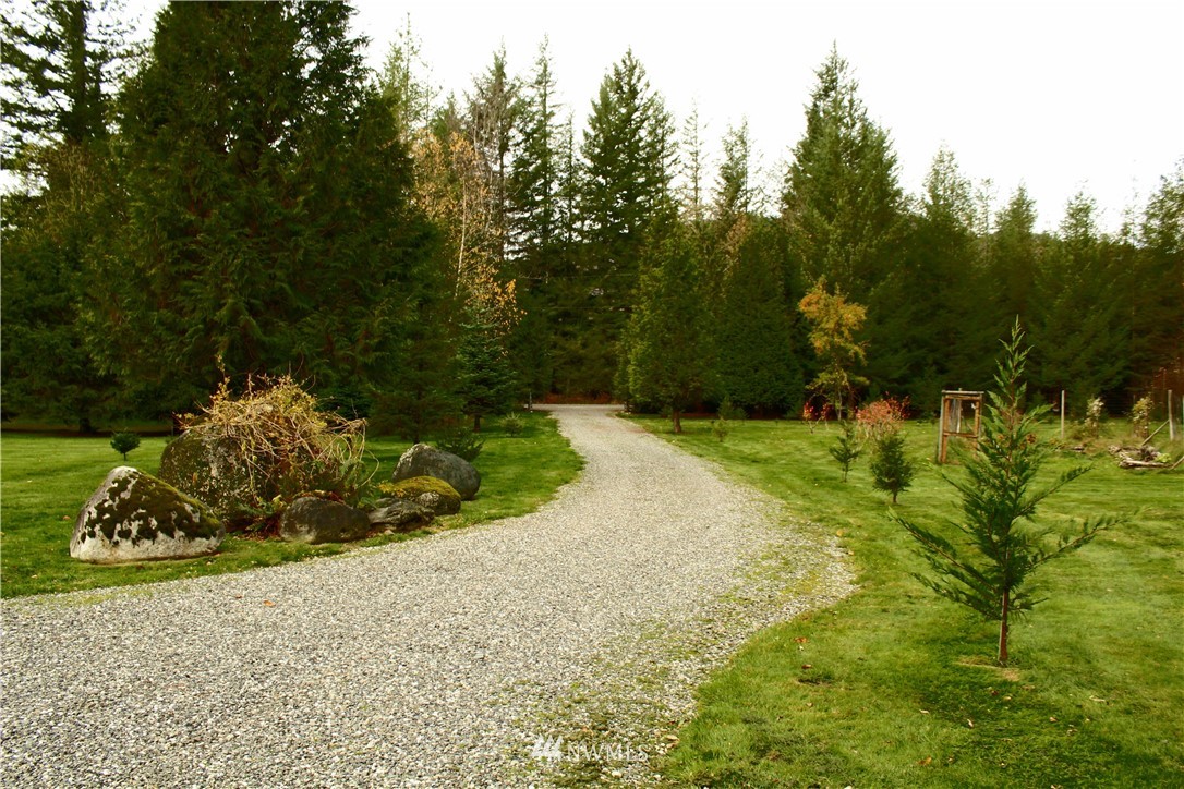 6851 South Pass Road Maple Falls, WA 98266 - Photo 7 of 34 a view of a garden with a pathway