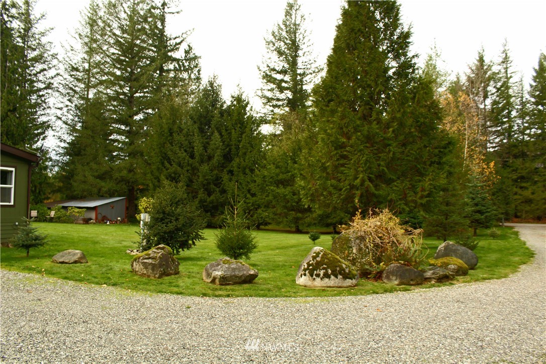 6851 South Pass Road Maple Falls, WA 98266 - Photo 8 of 34 a view of a garden with an outdoor space