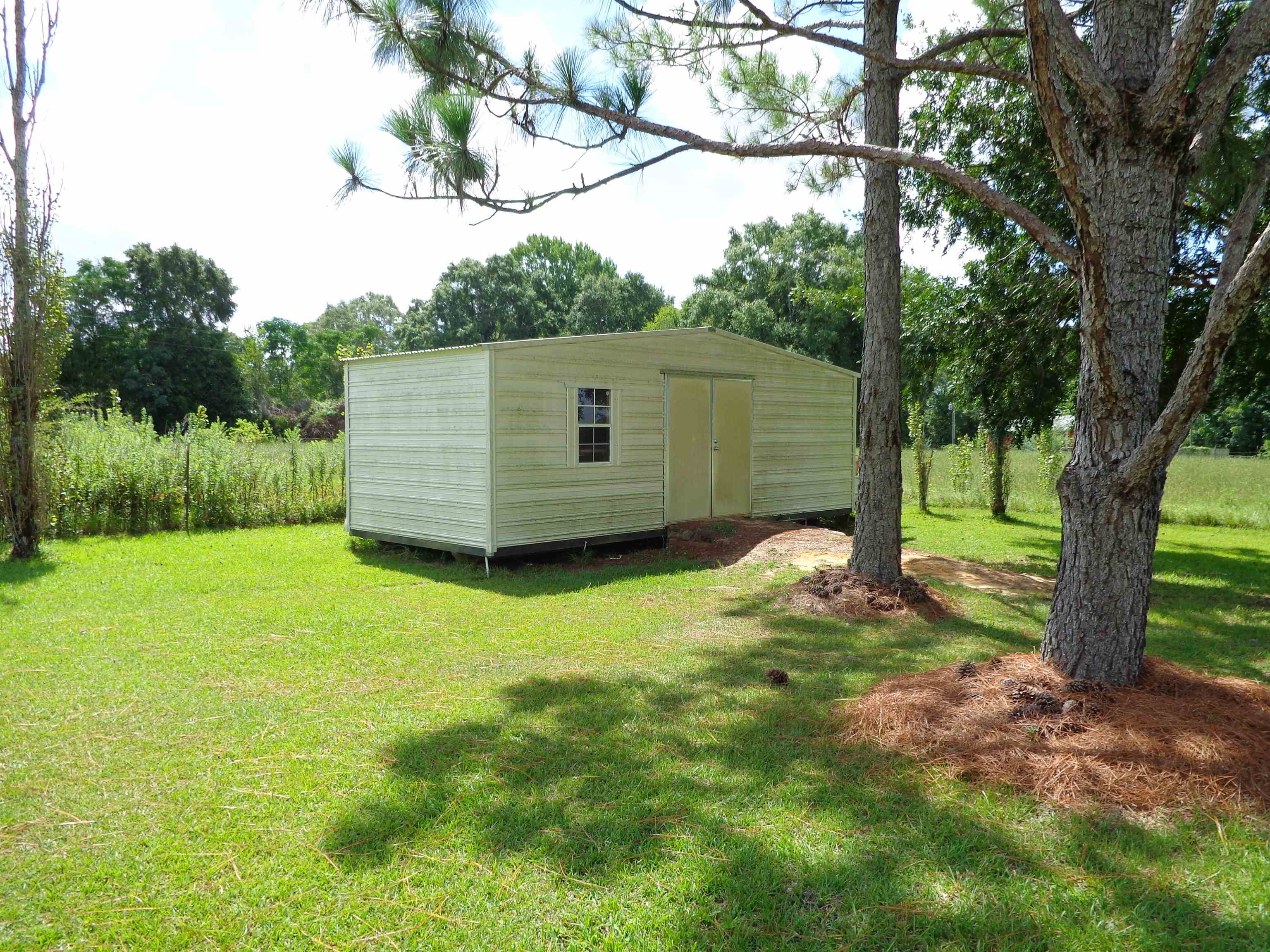5987 Airport Road Hartford, AL 36344 - Photo 5 of 21 Gallery Image 5