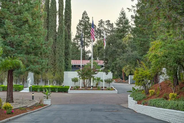 a view of a wooden floor in a backyard of a house