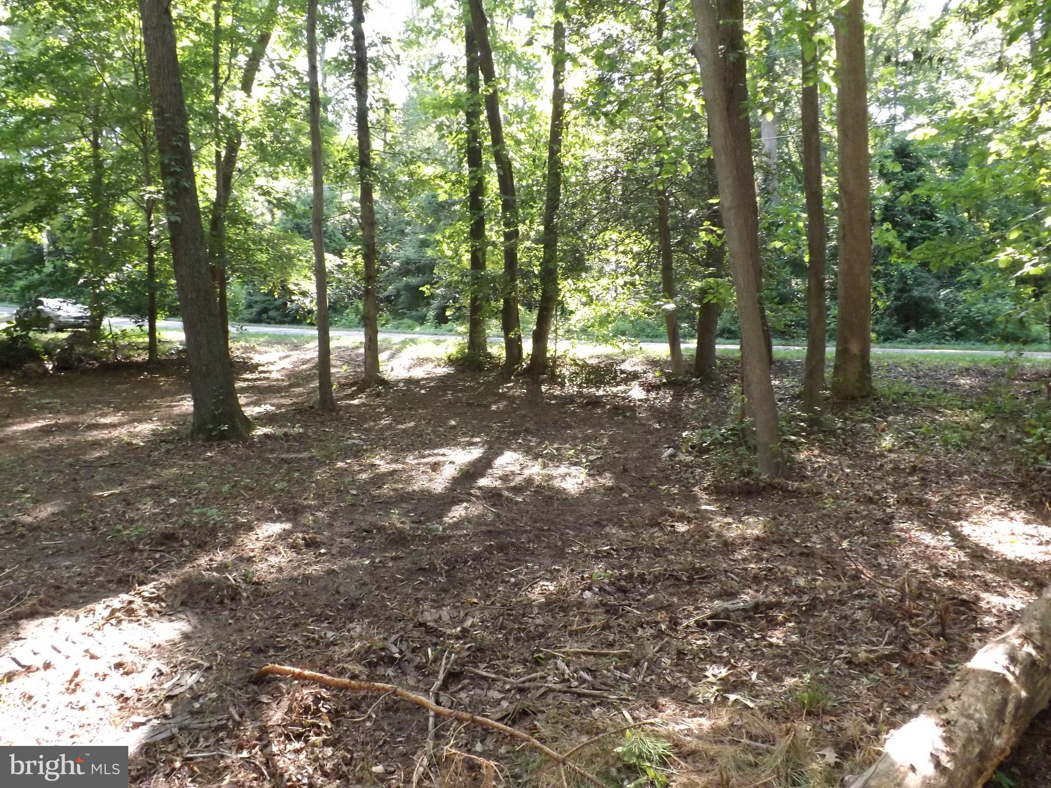 Croom Road Brandywine, MD 20613 - Photo 3 of 6 a backyard of a house with lots of green space