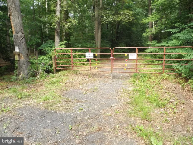 a view of a yard with a large tree
