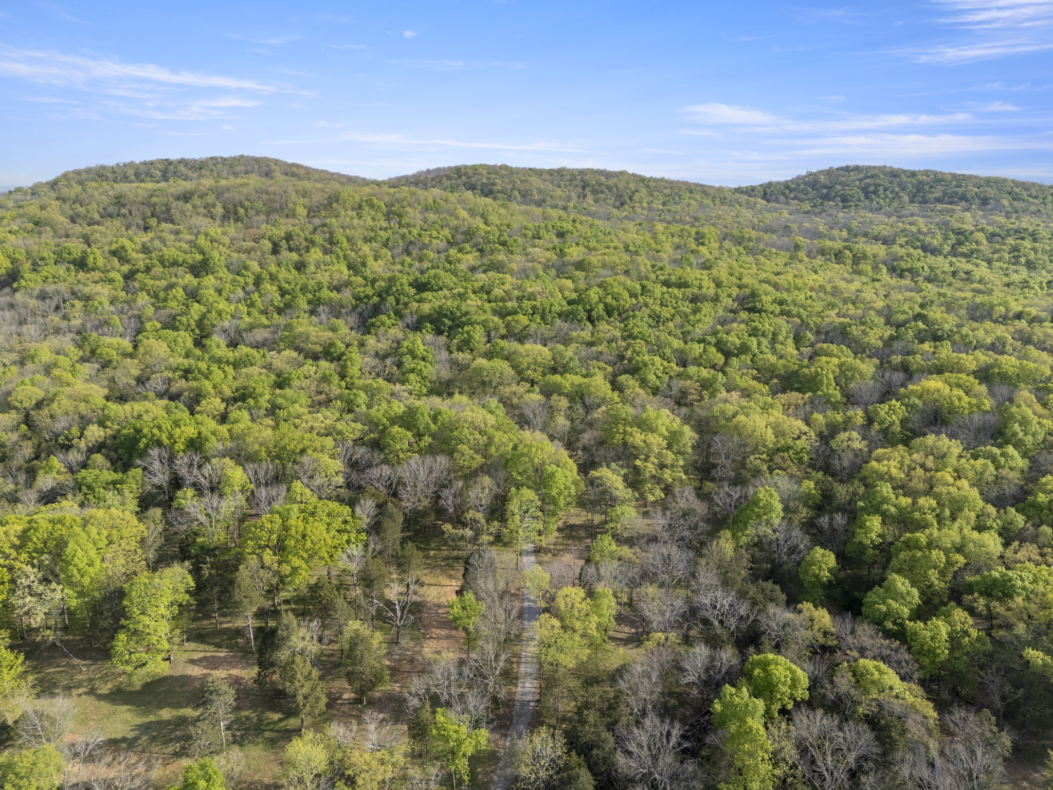 a view of a mountain range with lush green forest